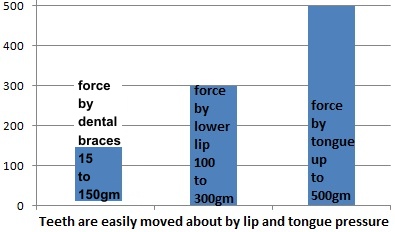 Tongue & Lip Force